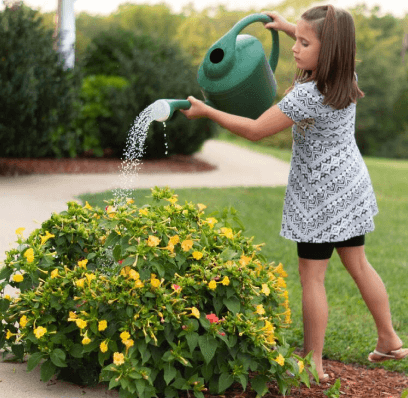 Municipal Garden Water