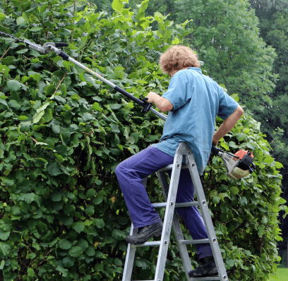 Harmony Grove Village