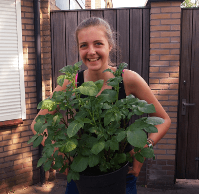 Landscaping for Restaurant
