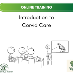 Introduction to Corvid Care