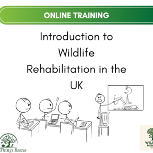 Introduction to Wildlife Rehabilitation in the UK