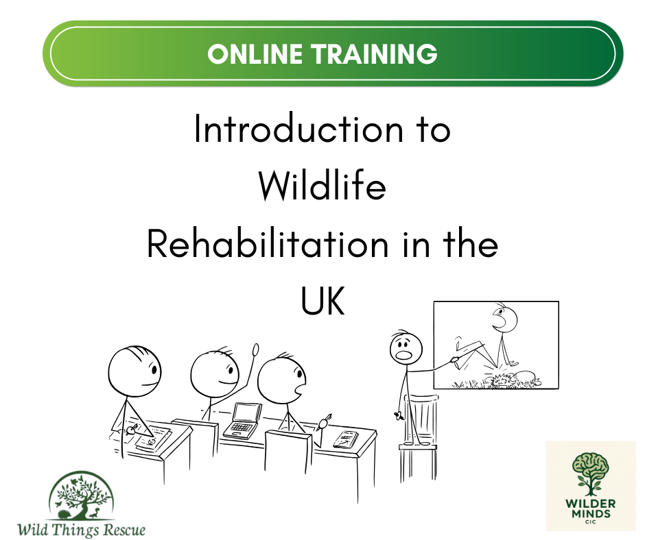 Introduction to Wildlife Rehabilitation in the UK